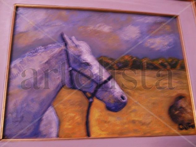 mi caballo Oil Canvas Animals