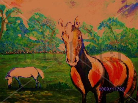 Caballos