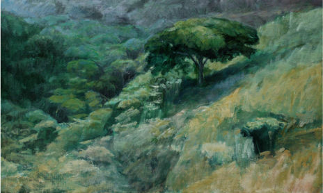 Paisagens Mata Atlântica