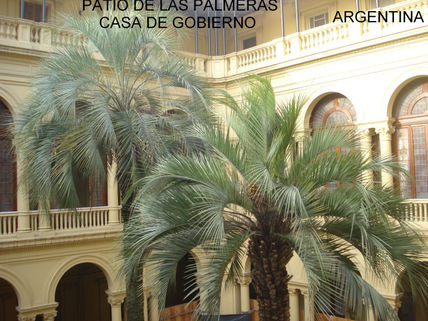 Patio de las...
