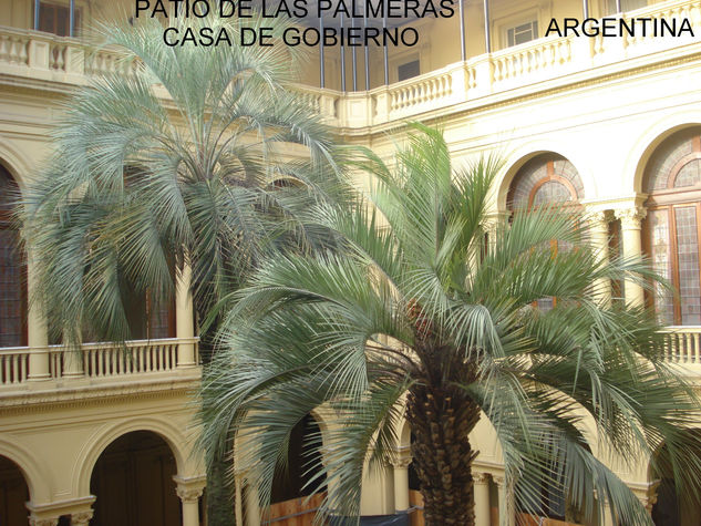 PATIO DE LAS PALMERAS -CASA DE GOBIERNO 