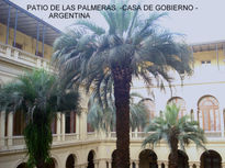 Patio de las palmeras