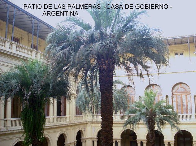 PATIO DE LAS PALMERAS 