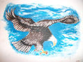 AGUILA