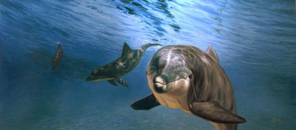 Delfines en alta mar