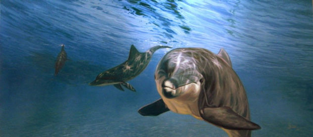 delfines en alta mar Óleo Lienzo Marina