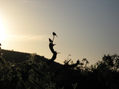 Contenplando el atardecer