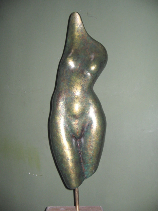 torso femenino 2