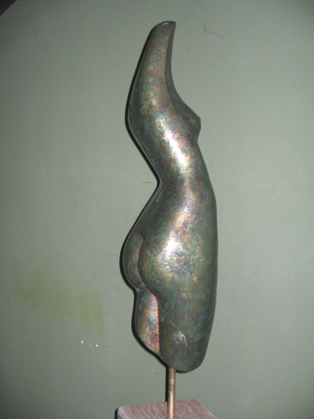 torso femen