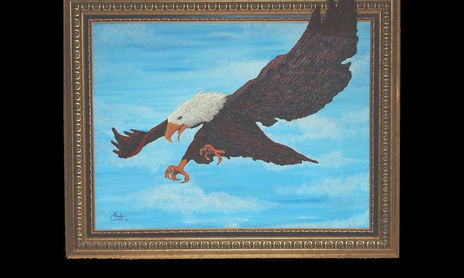 animales