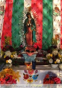 Guadalupe 266