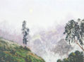 niebla en las montañas
