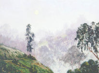 Niebla en las montañas