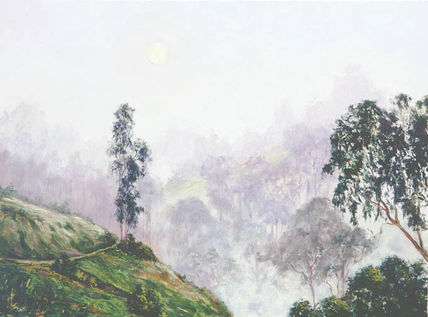 Niebla en las montañas