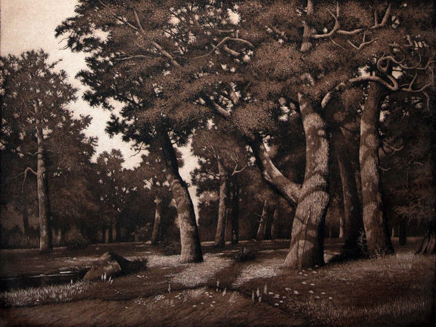 aguatinta 5 (grabado) Aquatint