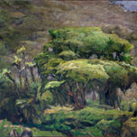 Paisagens Mata Atlântica thumbnail 2