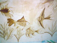 MIS PECES