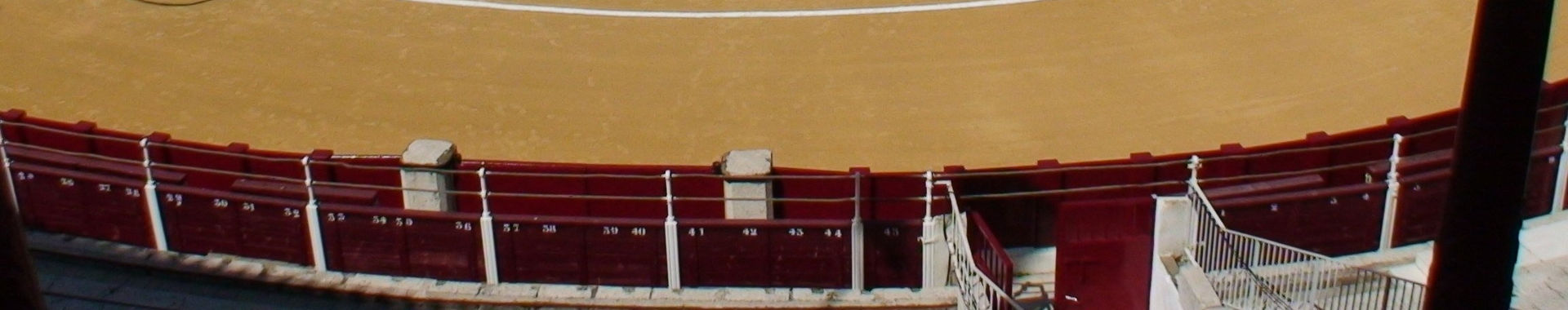 Imagen de portada