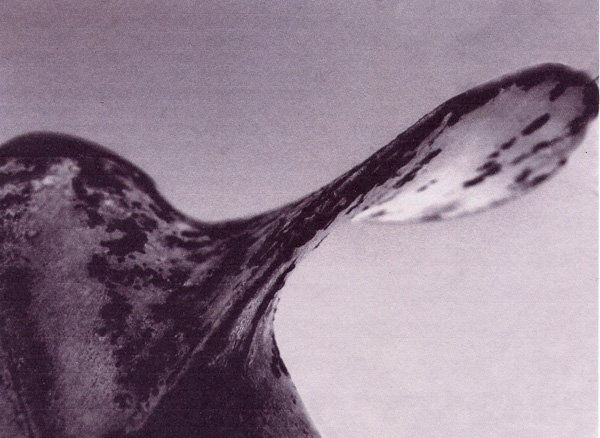 hel