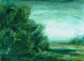 pequeña arboleda en verde