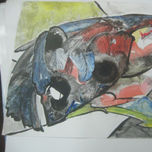 pajaros thumbnail 2
