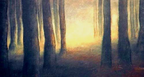 bosque y luz Oil Canvas