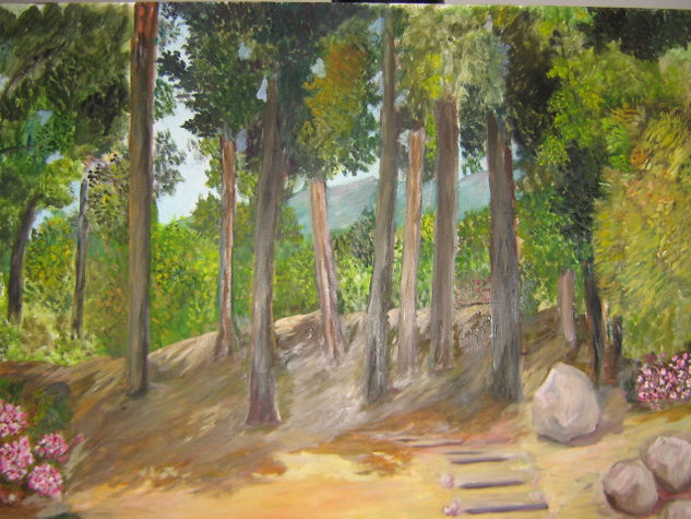 camino al cerro Oil Canvas