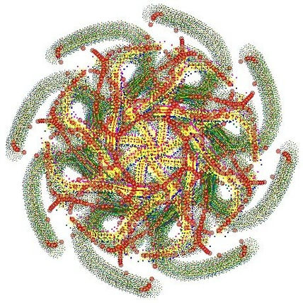 Mandala Lhokka