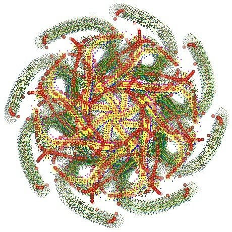 Mandala Lhokka