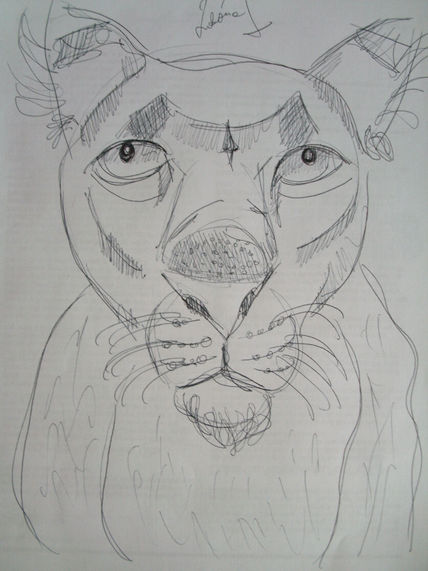 Dibujos Nueva...