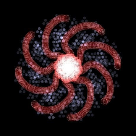 Mandala Rimpoché