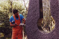 laborando