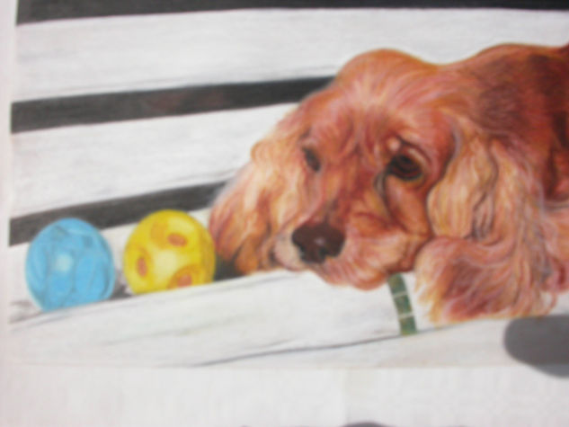 Canino Pastel Papel Animales