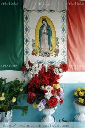 Guadalupe 260
