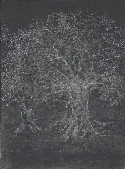 Olivos V - 2010 Etching Process