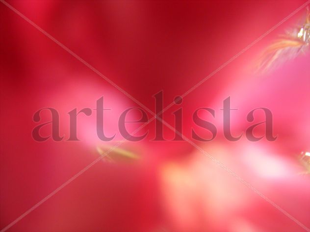 Flores Rosas