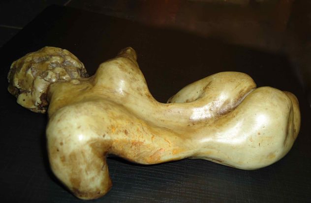 ambigüo