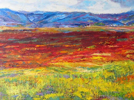 Campo de amapolas