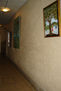 pasillo8