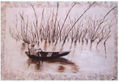 PESCA EN VIETNAM