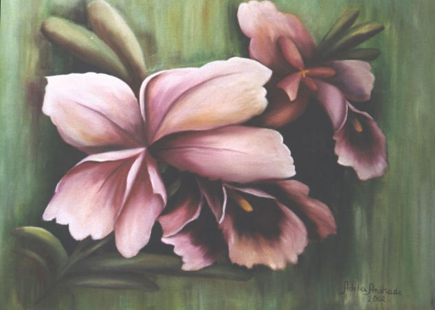 Orquídeas Oil Canvas Floral Painting