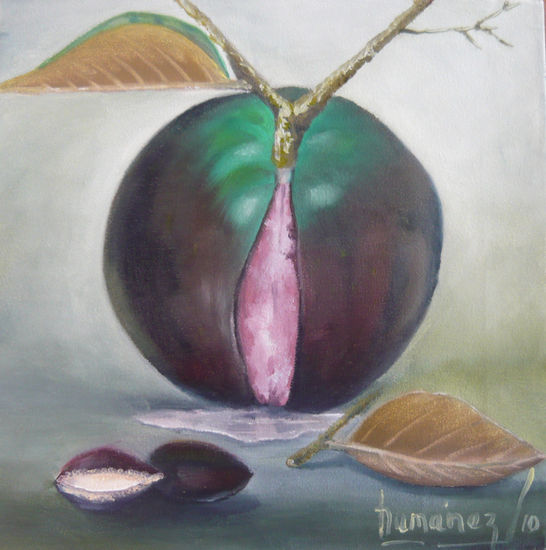 CAIMITO 2 Oil Canvas Still Life Paintings