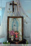 Guadalupe 256