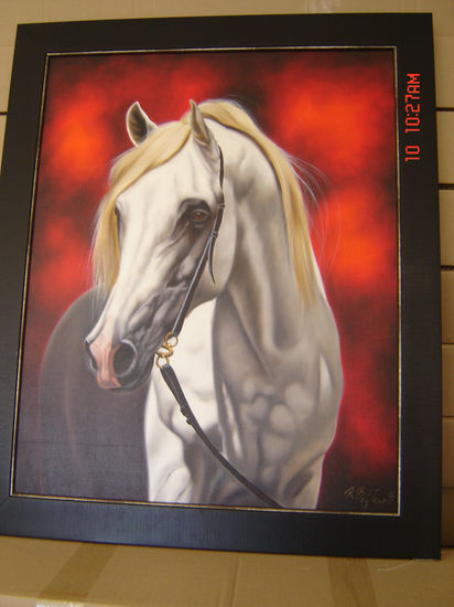 caballo blanco 2 Oil Canvas Animals