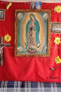 Guadalupe 252