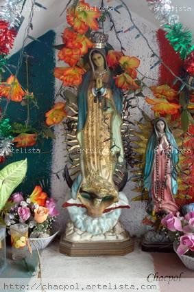 Guadalupe 249
