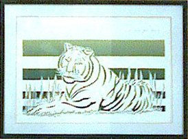 tigre