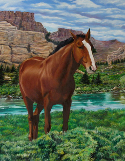 caballo Oil Canvas Animals