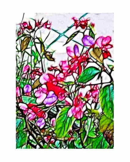 Serie Garden_160
