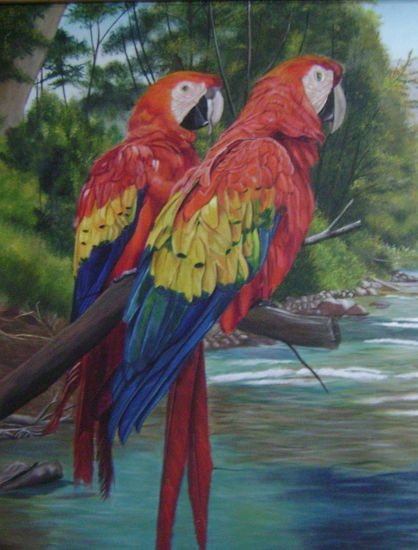 guaras Oil Canvas Animals